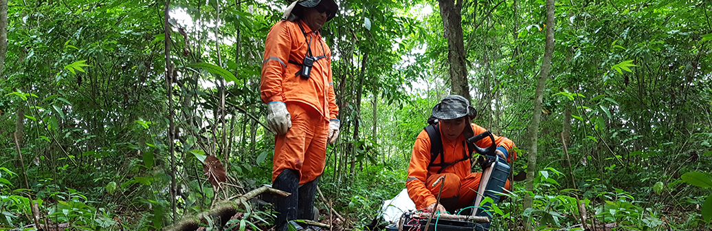 International presence